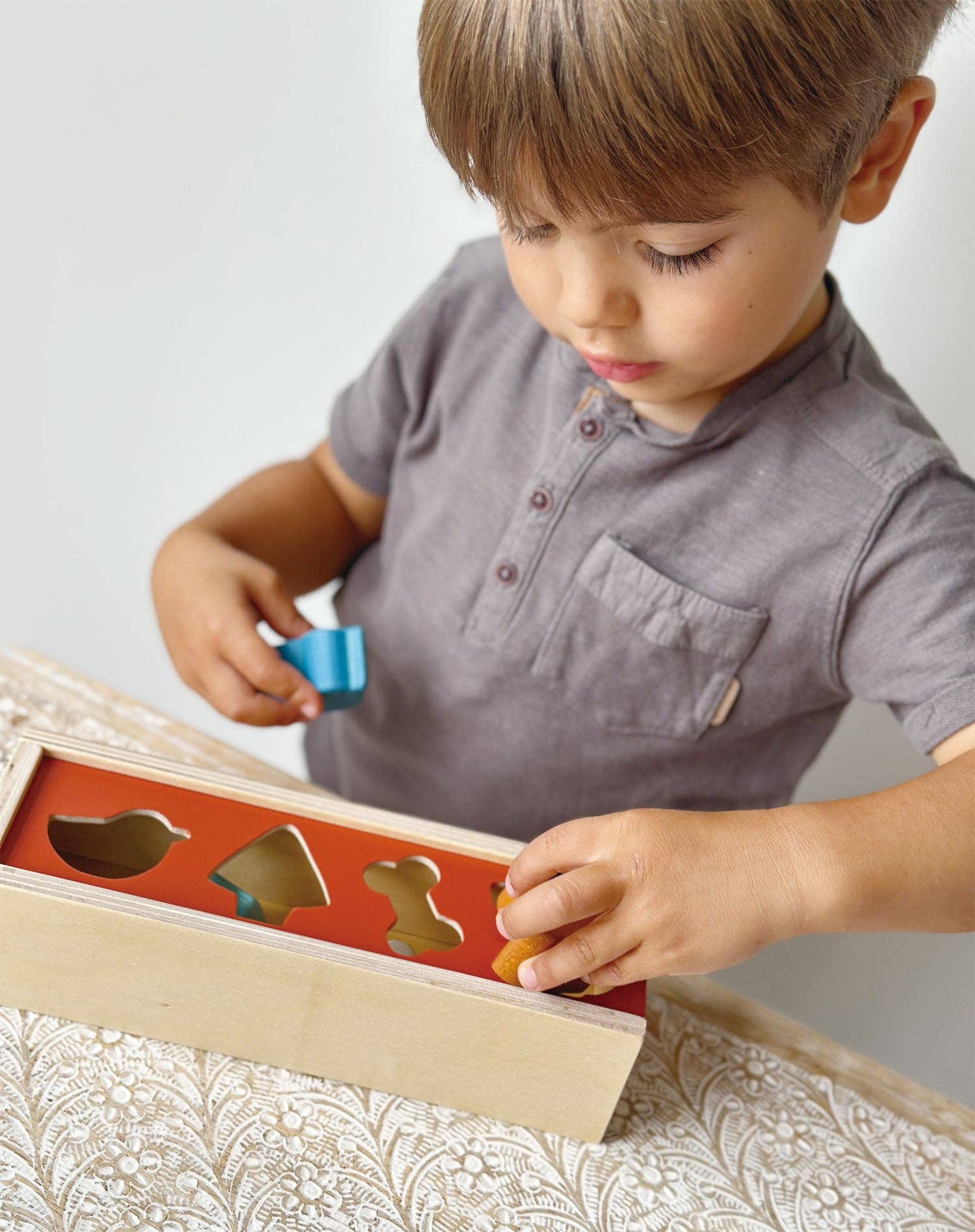 Pet Shape Sorting Box