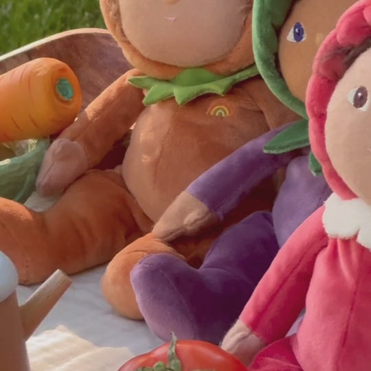 Dinky Dinkum Dolls - Marley Mushroom