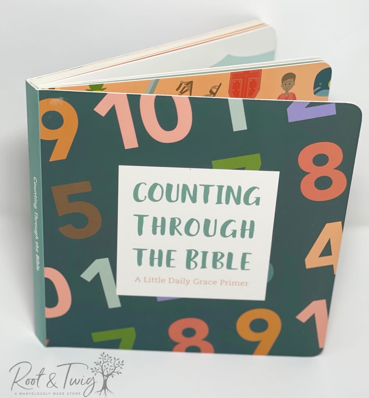 Counting Through the Bible Book